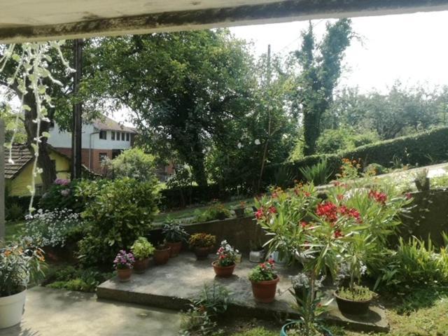 Apartman Bilja Vrnjačka Banja Buitenkant foto